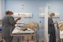 Hospital Regional de Ivaiporã inicia cirurgias eletivas no Vale do Ivaí