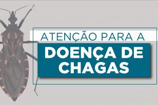 Doença de Chagas: Saúde divulga cartilha que alerta para importância da prevenção e tratamento