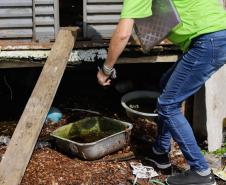 Paraná decreta situação de emergência em saúde pública para dengue