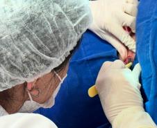 Hospitais concluem mutirão para diagnóstico de câncer de pele na população do Litoral