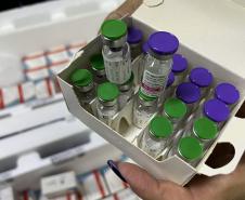 Paraná recebe 6.724 imunizantes contra a dengue para a região de Apucarana
