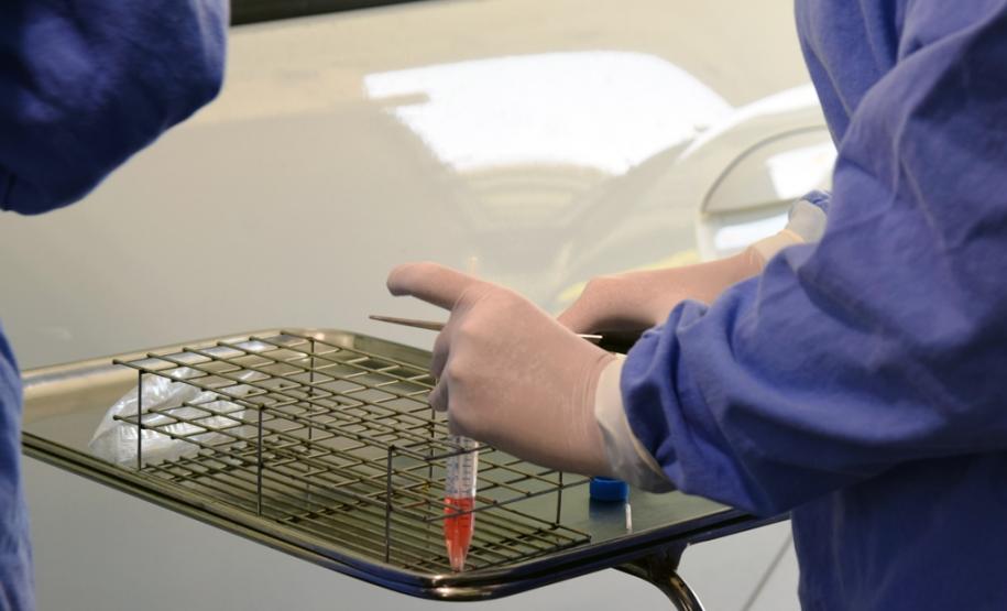 Exame sendo coletado dentro do carro da pessoa