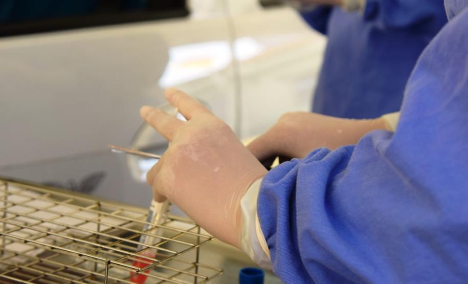 Exame sendo coletado dentro do carro da pessoa