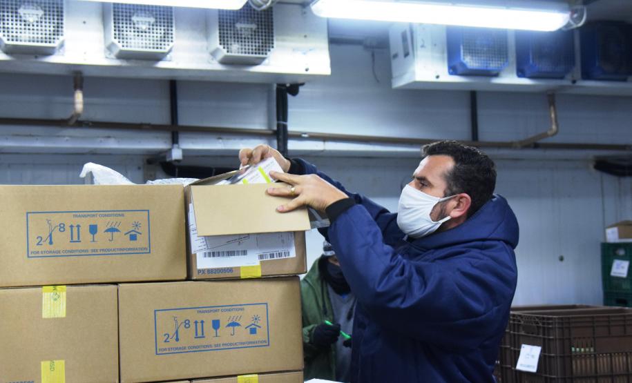 Paraná recebe quase 100 mil ampolas de medicamentos para entubação