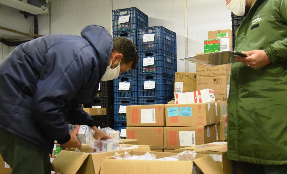 Paraná recebe quase 100 mil ampolas de medicamentos para entubação