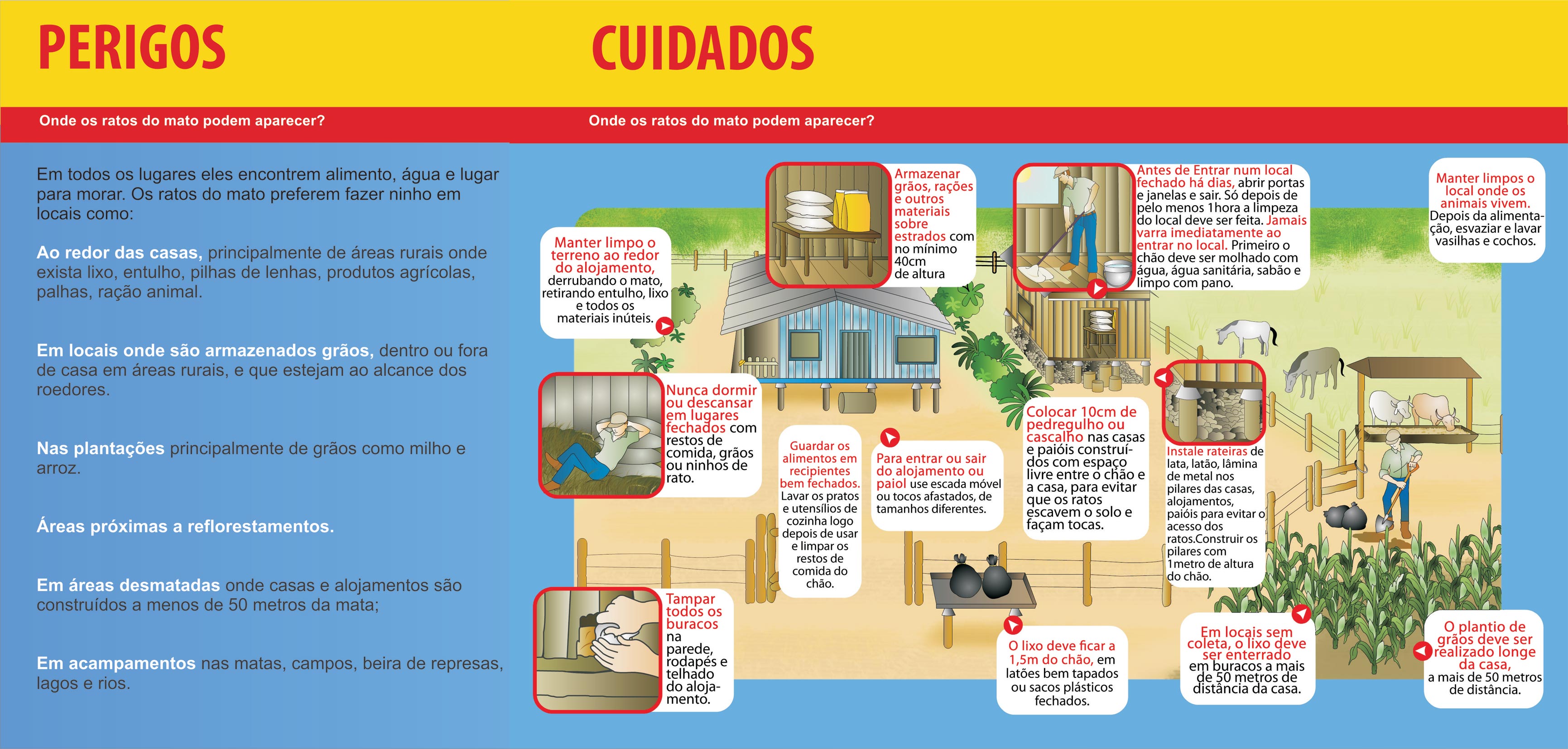 Folder ilustrativo hantavirus
