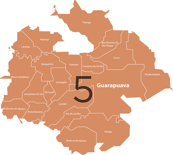 Regional Guarapuava