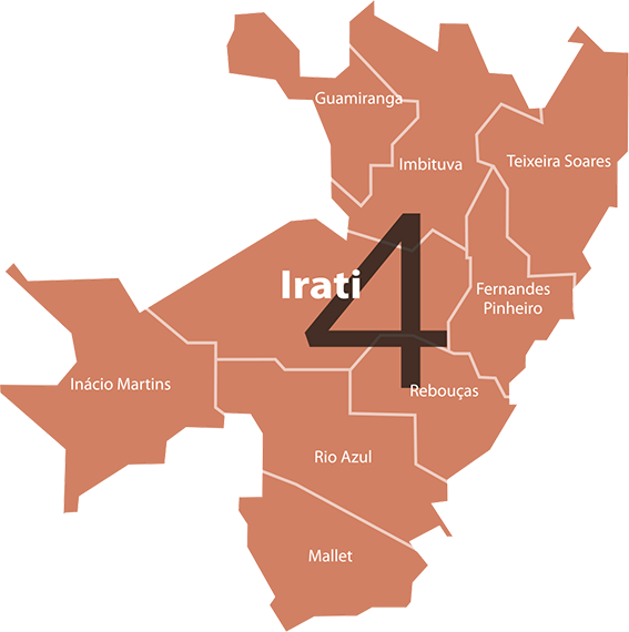 Regional Irati