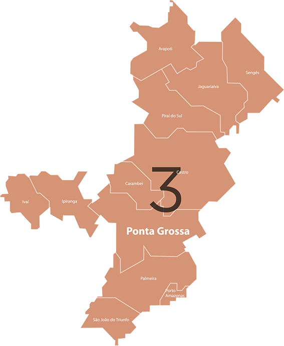 Regional Ponta Grossa