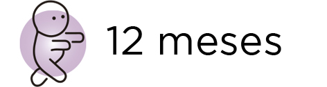 12 meses
