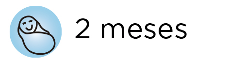 2 meses