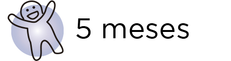 5 meseso