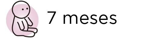 7 meses