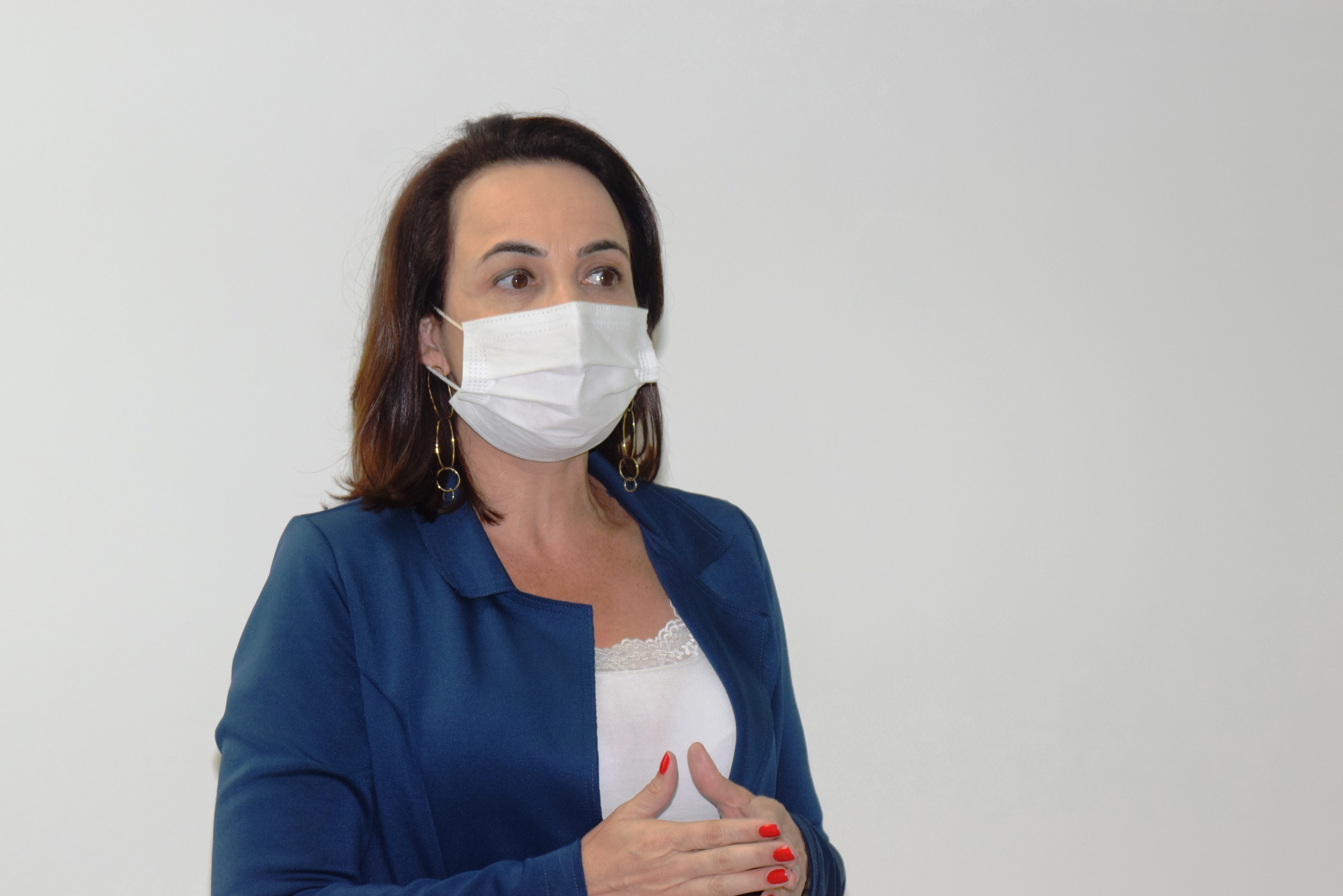Paraná apresenta Plano Estadual de Enfrentamento à Dengue ao Ministério da Saúde