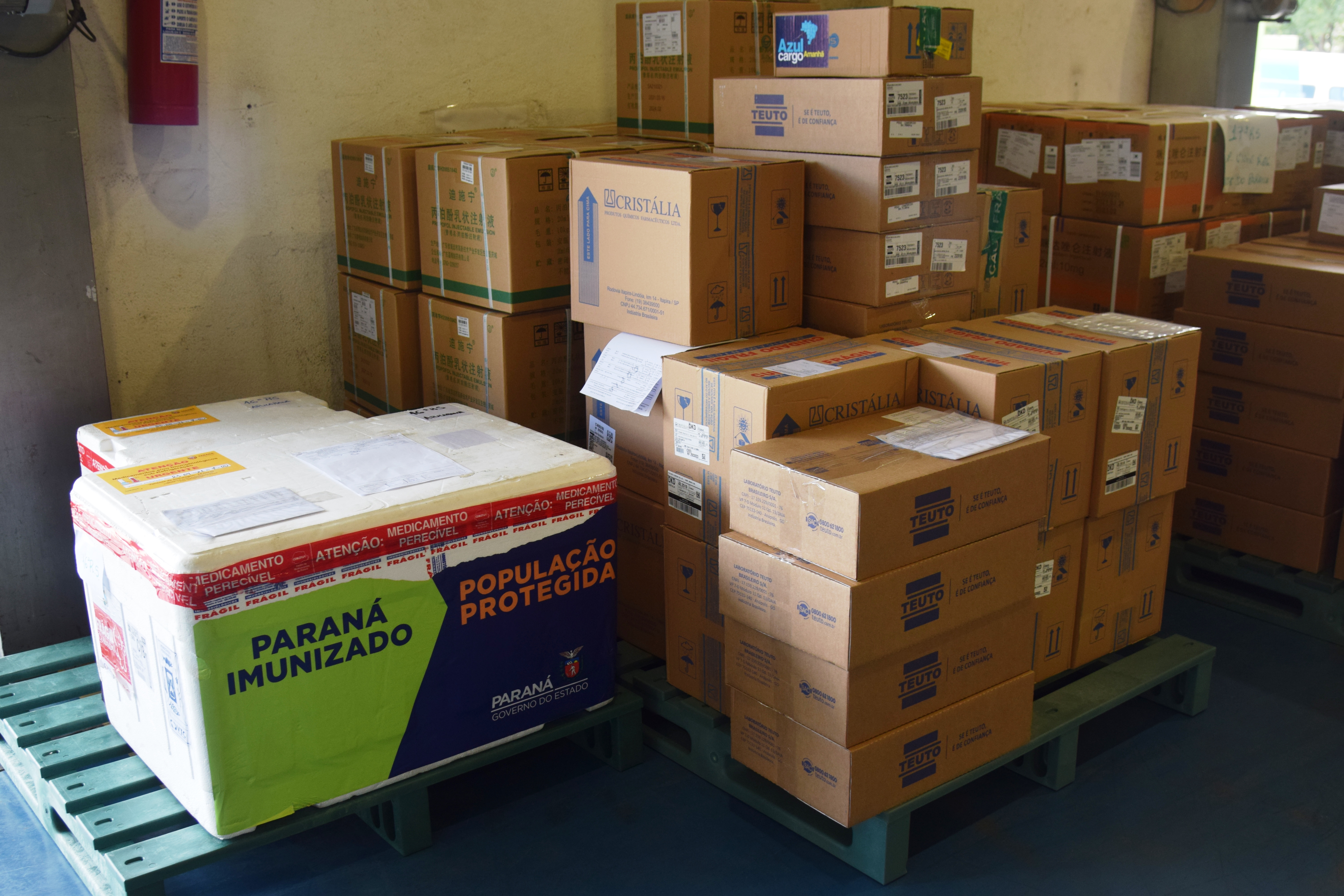 Estado distribui mais 205 mil vacinas contra a Covid-19; veja divisão por regional
