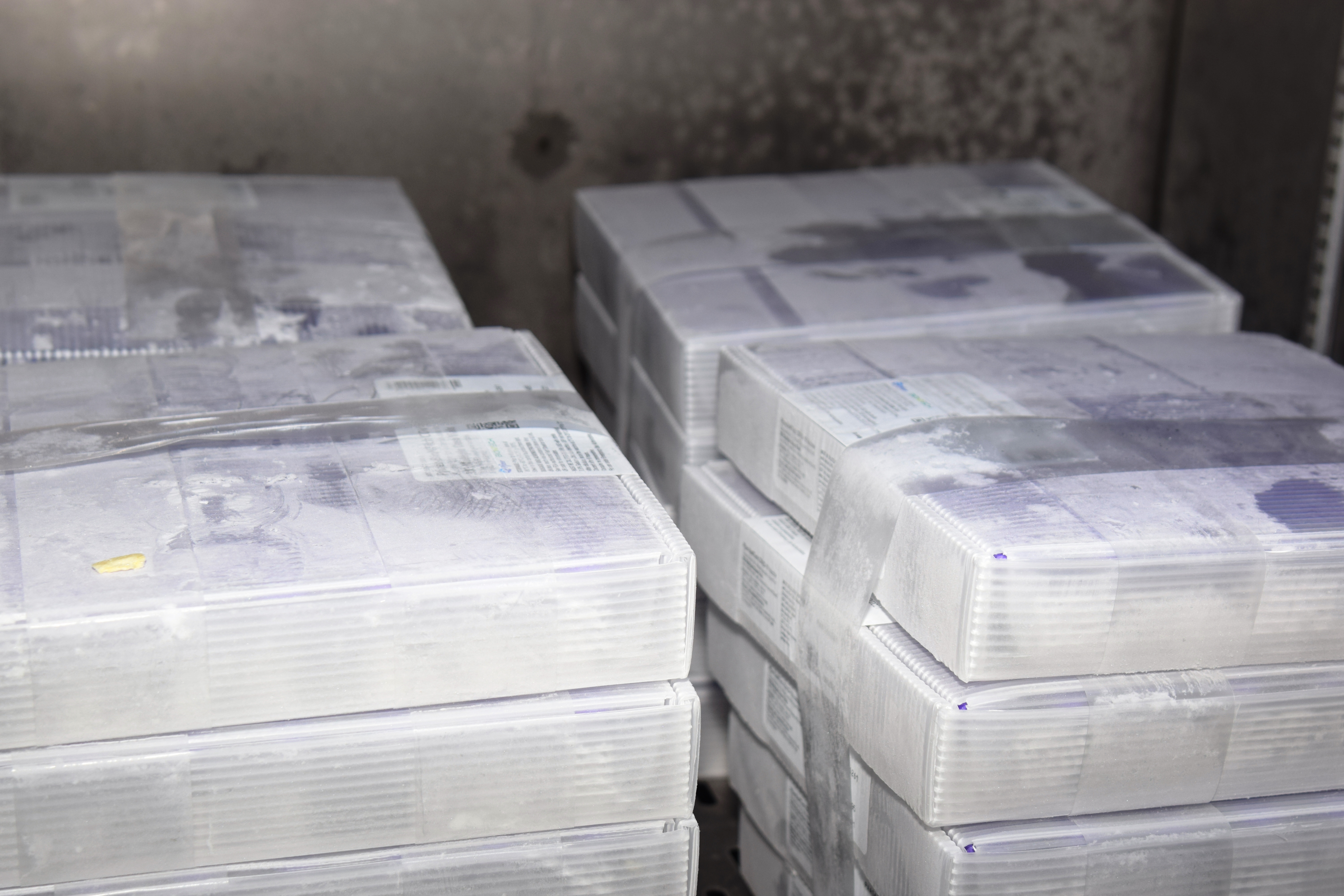 Mais uma leva de vacina Cominarty, produzida pela Pfizer/BioNTech, chegou ao Paraná nesta quinta-feira (3). O lote de 37.440 doses foi recebido às 13h20 no Aeroporto Internacional Afonso Pena, em São José dos Pinhais, na Região Metropolitana de Curitiba, e seguiu para conferência no Centro de Medicamentos do Paraná (Cemepar), onde chegou às 13h50. - Curitiba, 03/06/2021