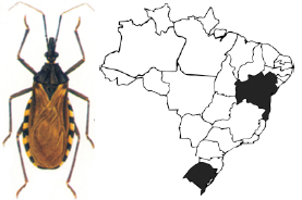 Doença de Chagas