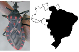 Doença de Chagas