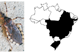 Doença de Chagas