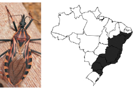 Doença de Chagas