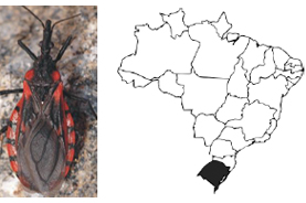 Doença de Chagas