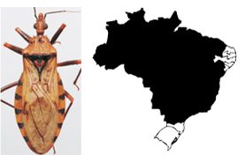 Doença de Chagas