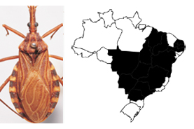 Doença de Chagas