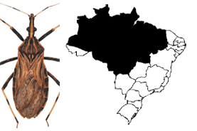 Doença de Chagas