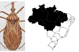 Doença de Chagas