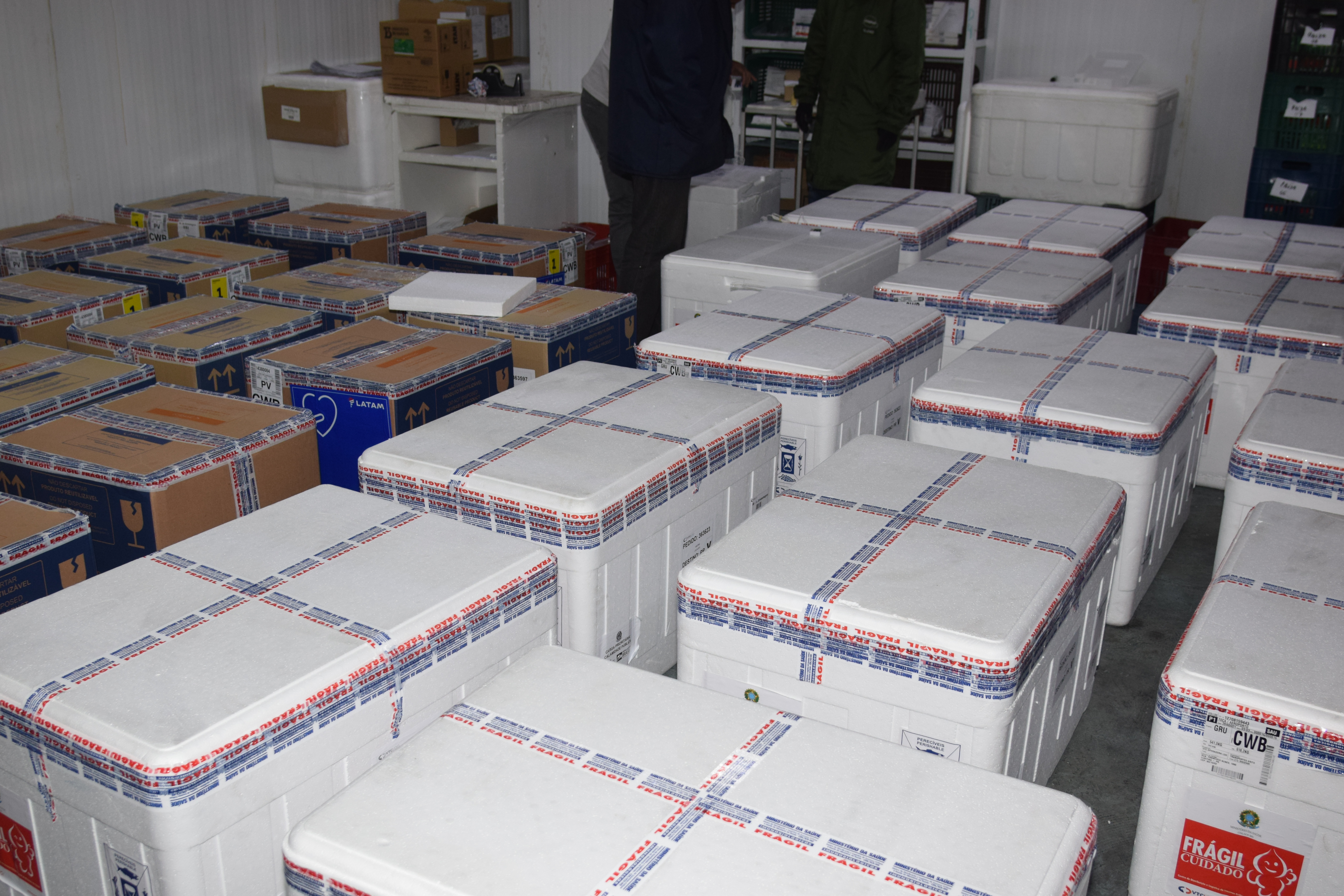 325.660 doses chegam ao Paraná e permitem avançar na imunização do público com mais de 18 anos