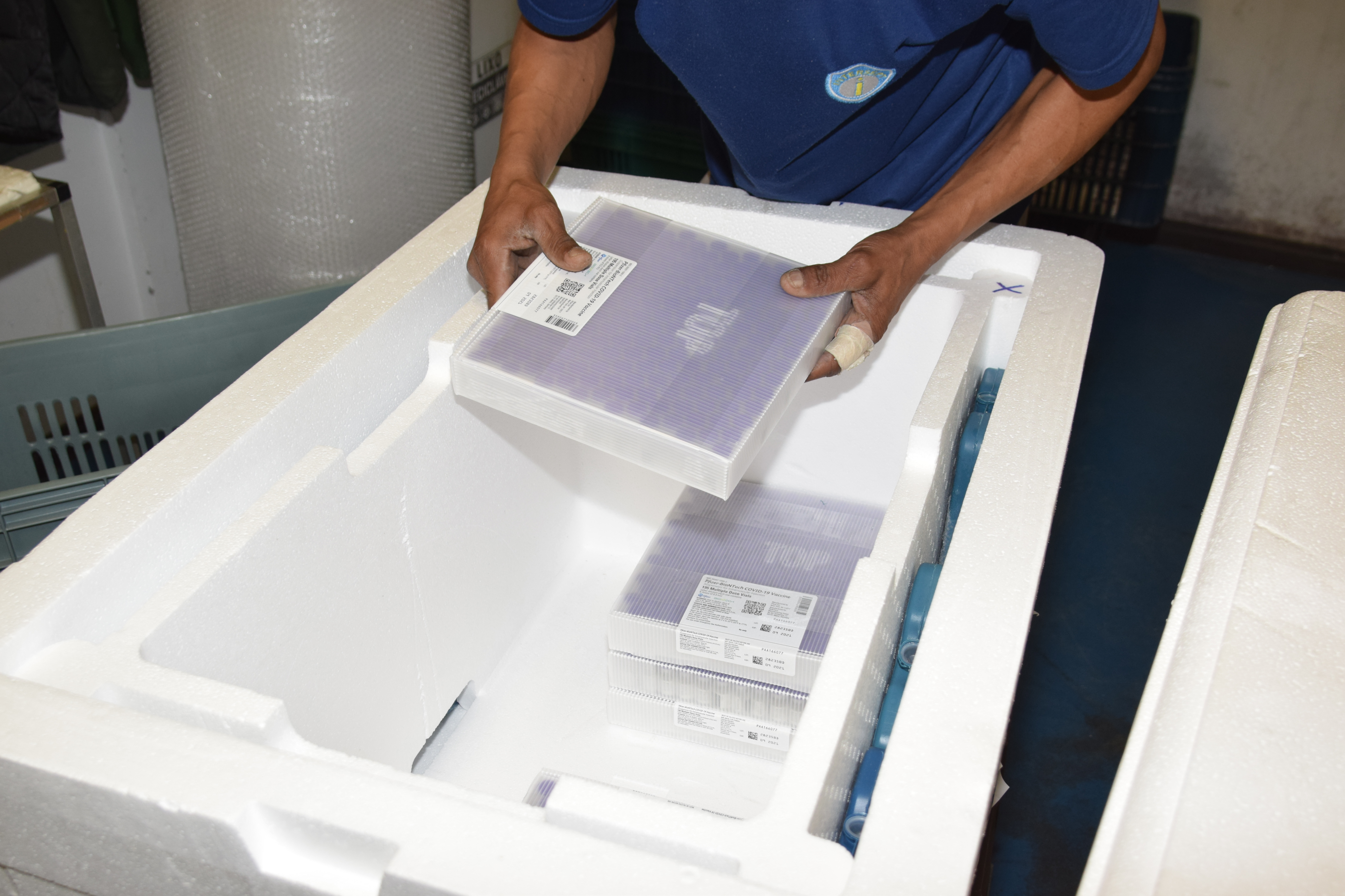 Estado distribui 445.388 vacinas contra a Covid-19 e 49.750 medicamentos para intubação; veja divisão