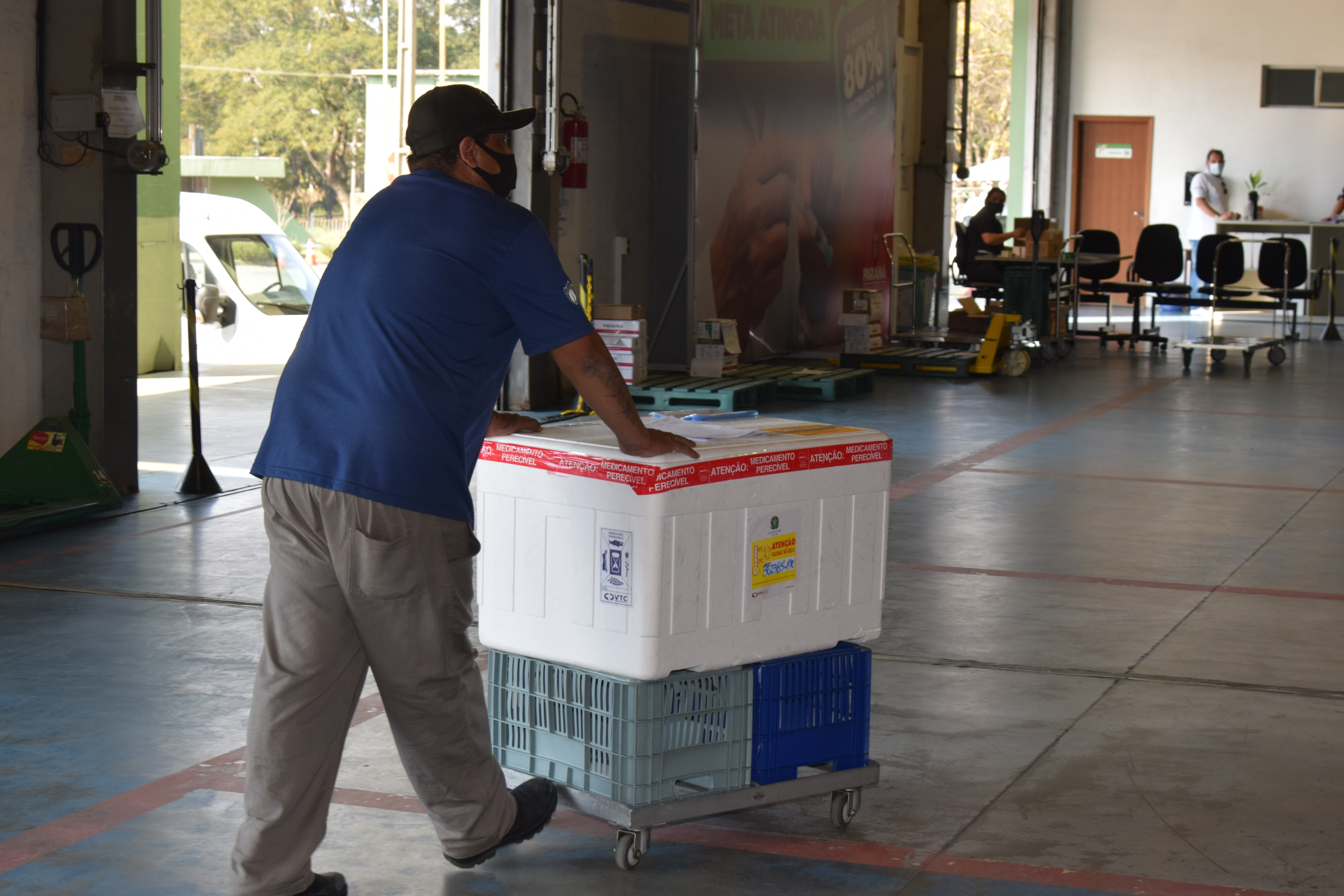 Estado distribui 445.388 vacinas contra a Covid-19 e 49.750 medicamentos para intubação; veja divisão