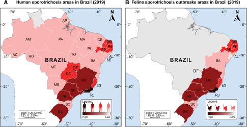 MAPA 2