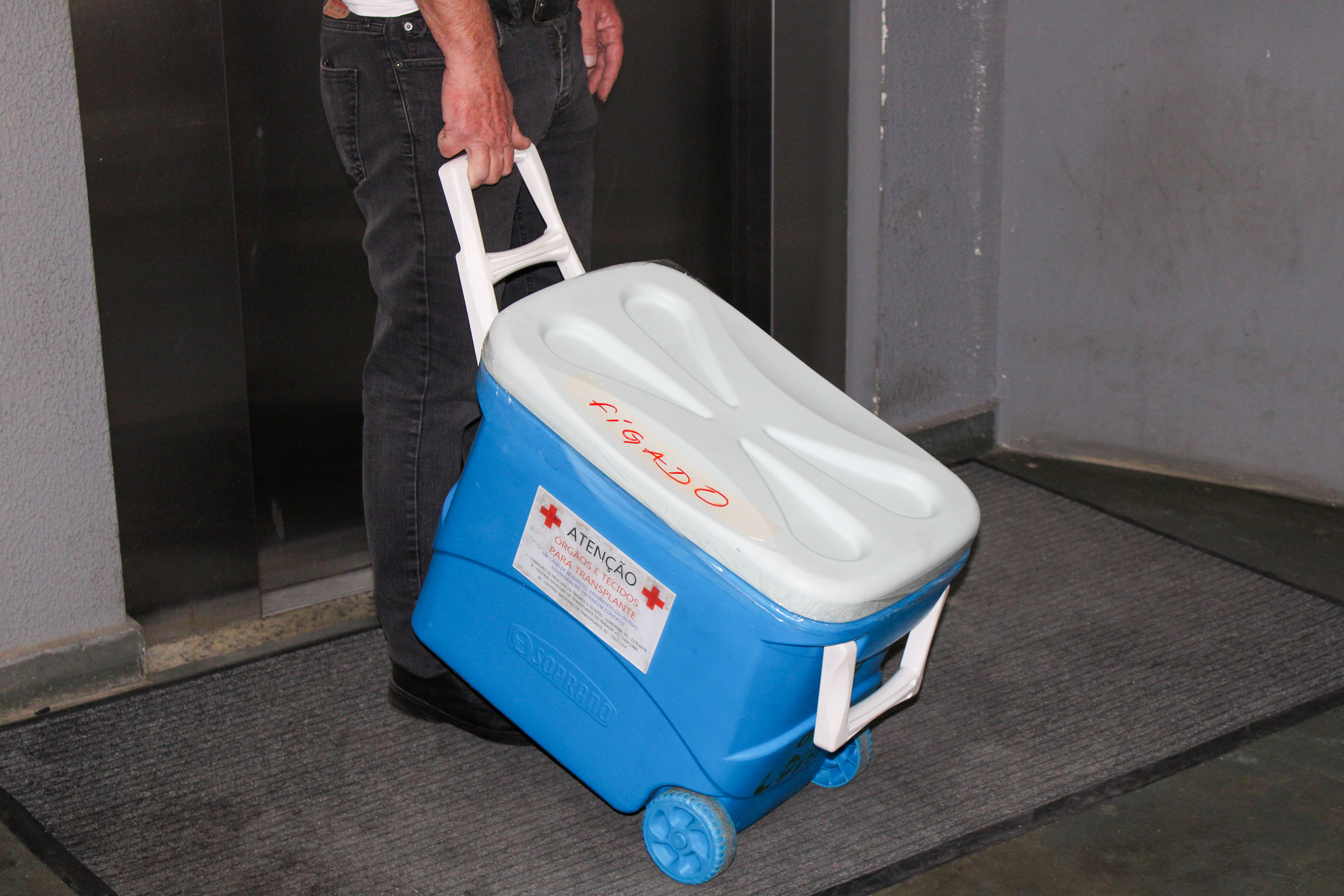 Líder no Brasil, Paraná celebra Dia Nacional da Doação de Órgãos