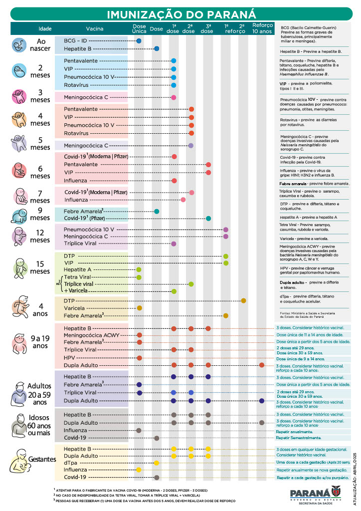 calendario imunização