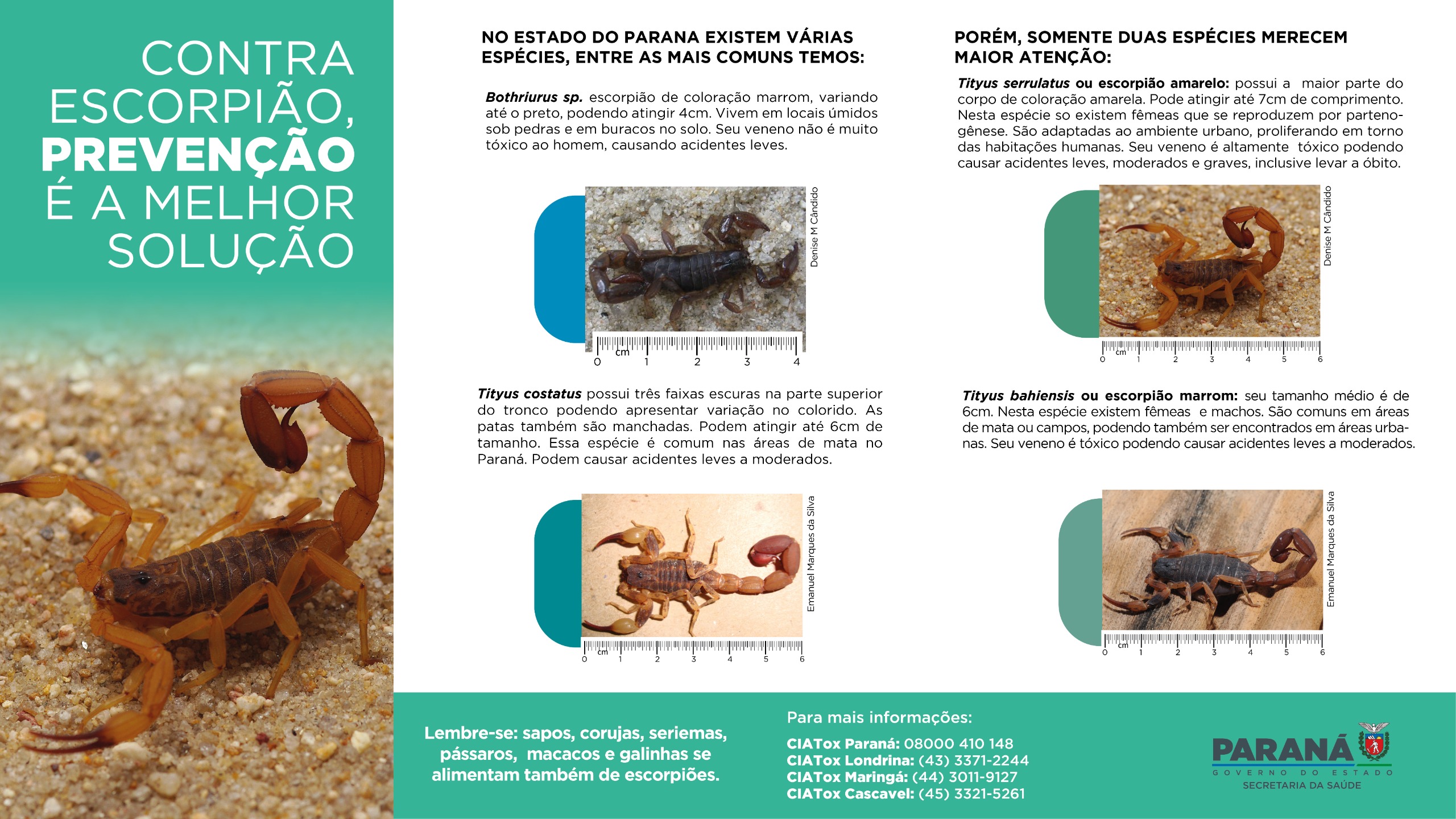 Escorpião