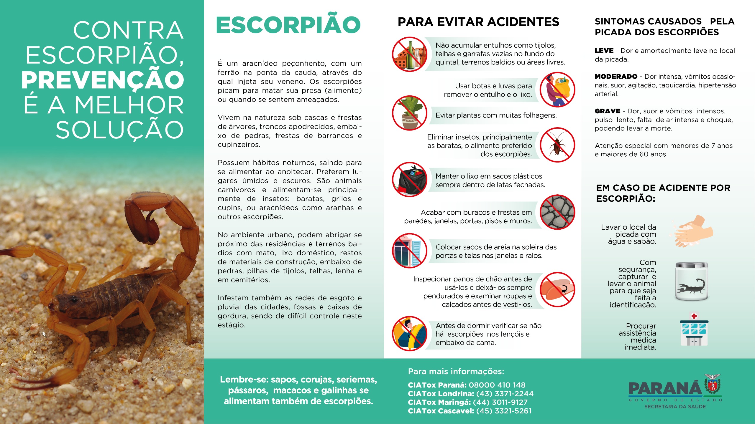 Escorpião