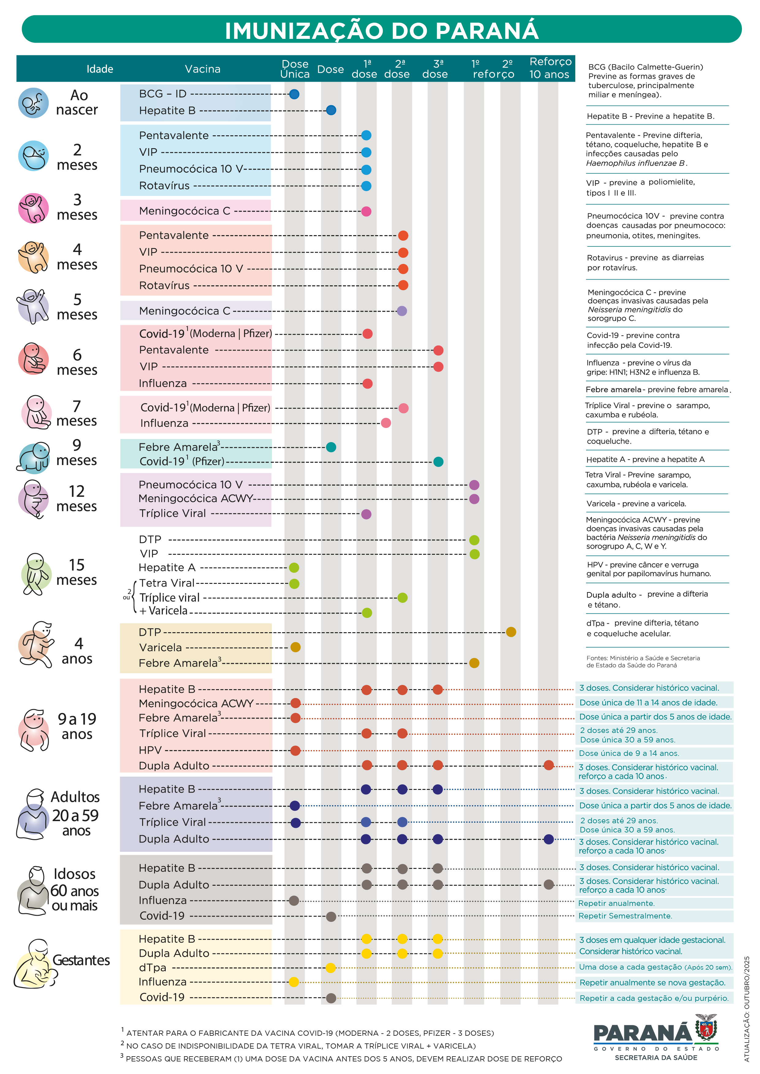 calendario imunização