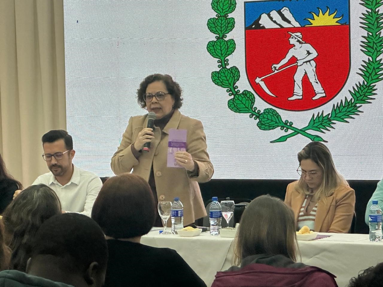 Sesa e Cosems avançam com novas diretrizes para a saúde pública em reunião da CIB