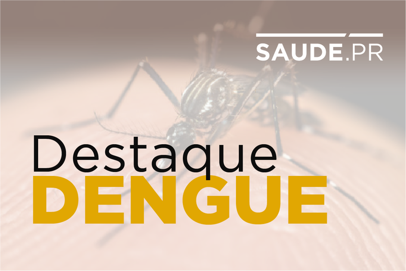 destaquedengue