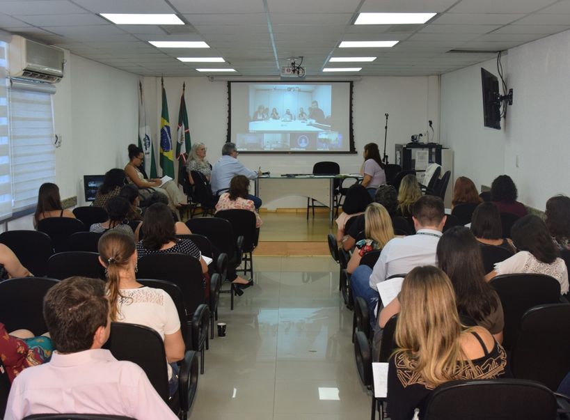 videoconferencia ministerio febre amarela