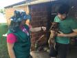 Bloqueio vacinal contra raiva é realizado no Noroeste do Paraná