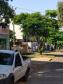 Paraná soma 2 óbitos e 741 casos de dengue em dois meses de monitoramento