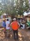 Paraná soma 2 óbitos e 741 casos de dengue em dois meses de monitoramento