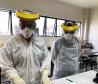 Sesa registra três novos mortes de macacos infectados com o vírus da Febre Amarela