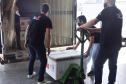 Paraná avança na vacinação de pessoas acima de 60 anos e profissionais da segurança