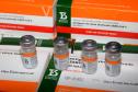 Paraná recebe novas doses da Coronavac e inicia logística para distribuir 367 mil vacinas