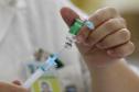 O Paraná vai receber do Ministério da Saúde mais 390.190 vacinas contra a Covid-19. Todas são primeira dose, o que deve acelerar a imunização em novos grupos prioritários. A 21ª remessa ainda não teve data de envio divulgada.