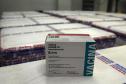 Mais 238 mil vacinas contra a Covid-19 chegam ao Paraná e Estado ultrapassa 6 milhões de doses recebidas