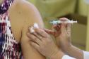 Paraná passa de 4,5 milhões de doses aplicadas, com 66,7% do grupo prioritário vacinado